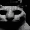 Cat_0Dark Cat_0Dark