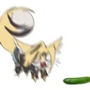 pulchraCucumber