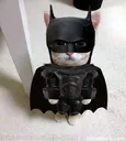 catman