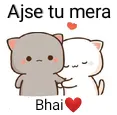 mera_bhai