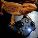 KiloGaming