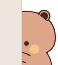 shybear