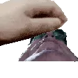 pet_ogre