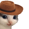 meow_dy Discord emoji
