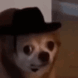 bigirononhiship Discord emoji