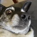 wyattsideeye