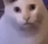 HUH