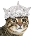 tinfoilcat