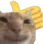 catThumbsUp