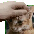 ospuzepet