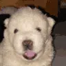 sleepiesden sleepiesden