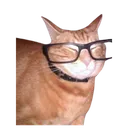 SmartFellow