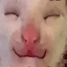 mmm mmm