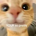 pretty