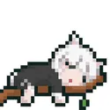 Mygo_pxRana_sleep