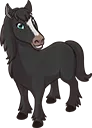 Horse4Midnight