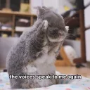 blahblahblah blahblahblah