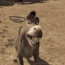 Donkey