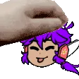ayysunPetPat