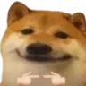 dogeshy