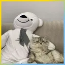 cute_cirooo