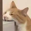 carbite