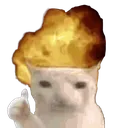 CatBoomThumbsUp