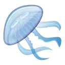 VenusJellyfish
