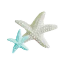 VenusStarfish
