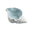 VenusConchshell