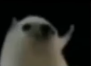 :__: