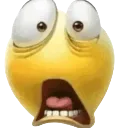 x_WHATINTHEACTUALFUCK