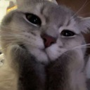 z_cute custom emote - Lemniscate Network