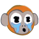 cry