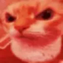 Uuh_angry