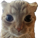 staring_eve