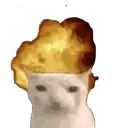 CatBoomOpenMouth CatBoomOpenMouth