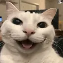 My_joy_reaction