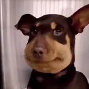 hi2