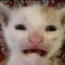 emoji_18