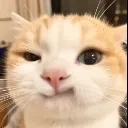 emoji_499 emoji_499