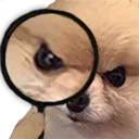 AngryDoggoDetective