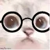 KatMafs