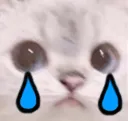 SadKat SadKat