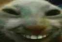 Xdd