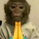 z_prayingmonke