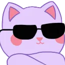 coolkitty