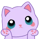shrugkitty