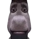 donkeystare