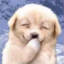 Hehe Hehe